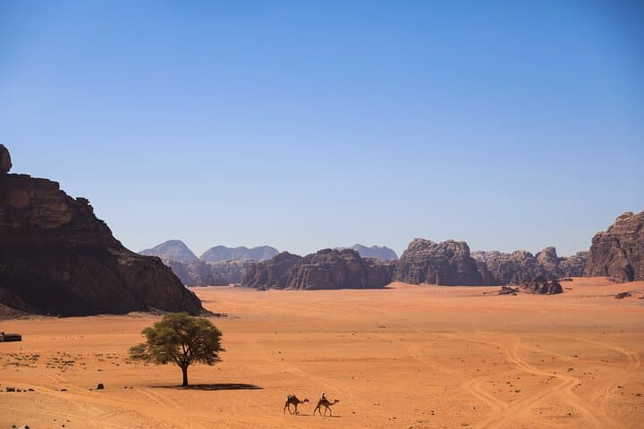 Wadi Rum Camel Safari & Bedouin Overnight — Sunset to Sunrise Desert Experience photo 3