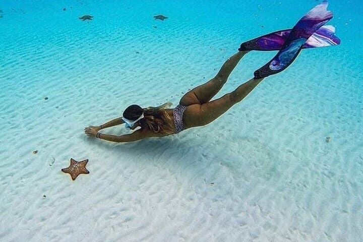 El Cielo Cozumel Snorkeling Tour: Palancar, Colombia & El Cielo Sandbar (All-Inclusive) photo 5
