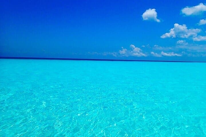 El Cielo Cozumel Snorkeling Tour: Palancar, Colombia & El Cielo Sandbar (All-Inclusive) photo 6