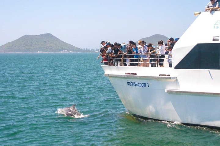 Port Stephens Dolphin Discovery Cruise — Nelson Bay Wildlife & Boom Net Ride photo 3