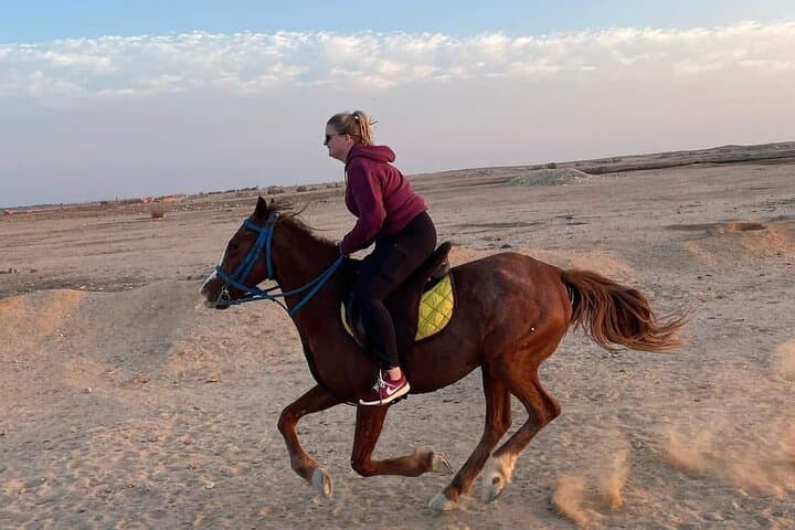 Horseback Riding Nabq Bay: Desert-to-Beach Equestrian Tour in Sharm El Sheikh photo 3