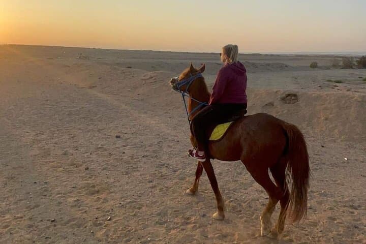 Horseback Riding Nabq Bay: Desert-to-Beach Equestrian Tour in Sharm El Sheikh photo 5