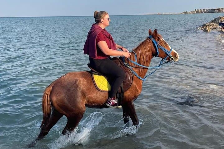Horseback Riding Nabq Bay: Desert-to-Beach Equestrian Tour in Sharm El Sheikh photo 6