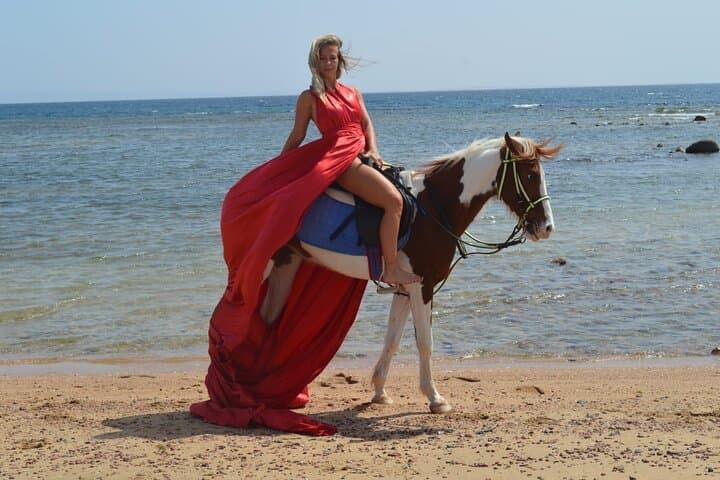 Horseback Riding Nabq Bay: Desert-to-Beach Equestrian Tour in Sharm El Sheikh photo 4