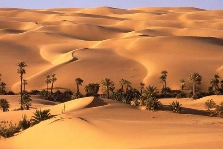 White Desert & Bahariya Oasis: 2-Day Private Black and White Desert Tour from Cairo photo 2