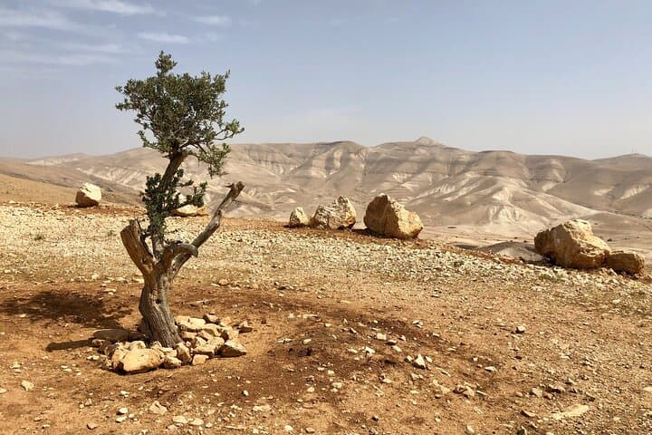 Half-Day Jericho & Jordan River: Ancient Ruins, Springs, and Baptism Sites photo 3