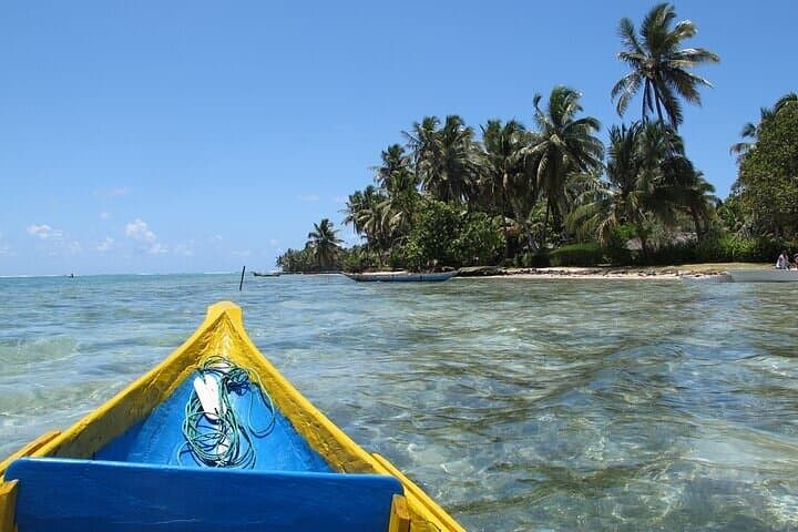 9-Day East Madagascar Wildlife & Island Escape: Andasibe, Palmarium & Sainte Marie