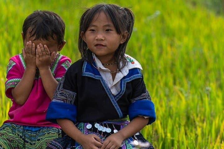 3-Day Sapa Trek: Homestay, Rice Terraces & Hill-Tribe Trails photo 1