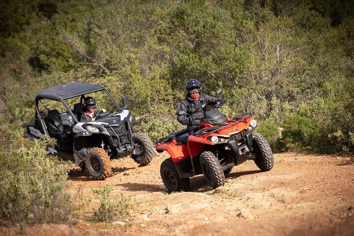 Algarve Off-Road Buggy & Quad Tour — 90-Minute Almond Grove Adventure photo 4