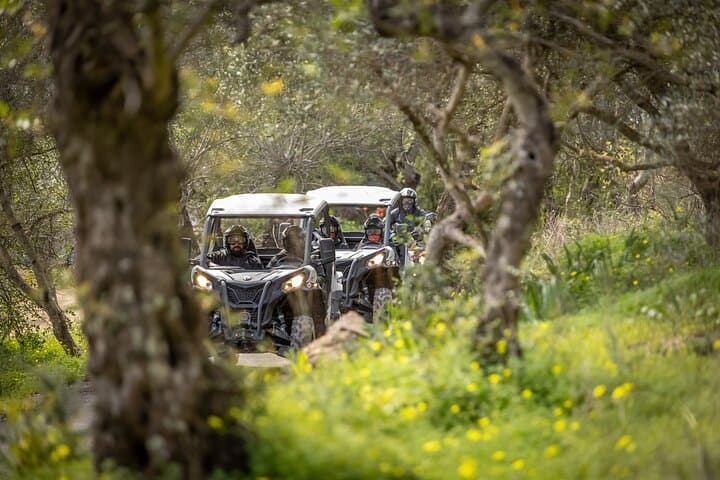 Algarve Off-Road Buggy & Quad Tour — 90-Minute Almond Grove Adventure photo 5