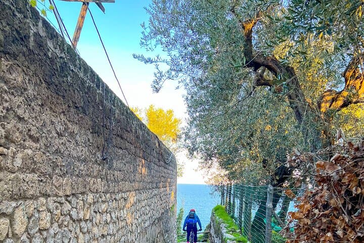 Sorrento Oil and Lemon e-Bike Tour: Olive Mill, Hillside Views & Tastings photo 5