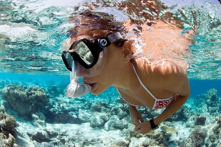 Explore Santa Maria Reef & Calderinhia Wreck: 2-Hour Snorkeling Tour in Sal photo 1