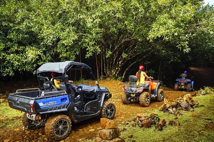 Wild South Mauritius: Private Chamarel, Gris Gris & Macondé Tour photo 5