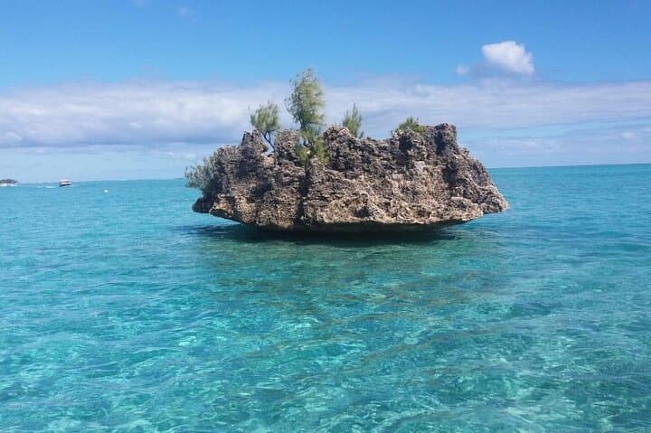 Mauritius Dolphin Swim & Ile aux Bénitiers Boat Trip with BBQ photo 3