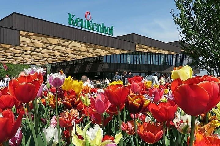 Private Keukenhof Flower Tour with Luxury Transfer & Tulip Field Visit photo 3