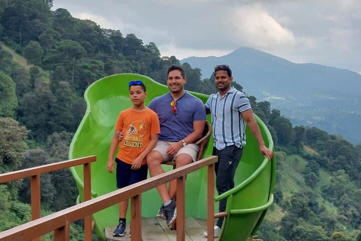 Antigua Avocado Farm Half-Day: Canopy, Country Walk & Tasting
