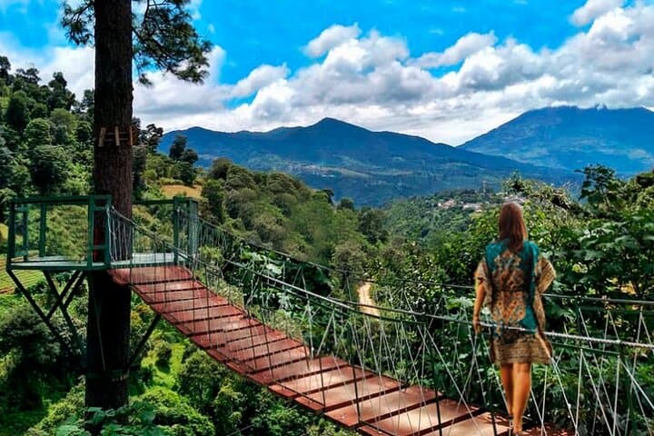 Antigua Avocado Farm Half-Day: Canopy, Country Walk & Tasting photo 4