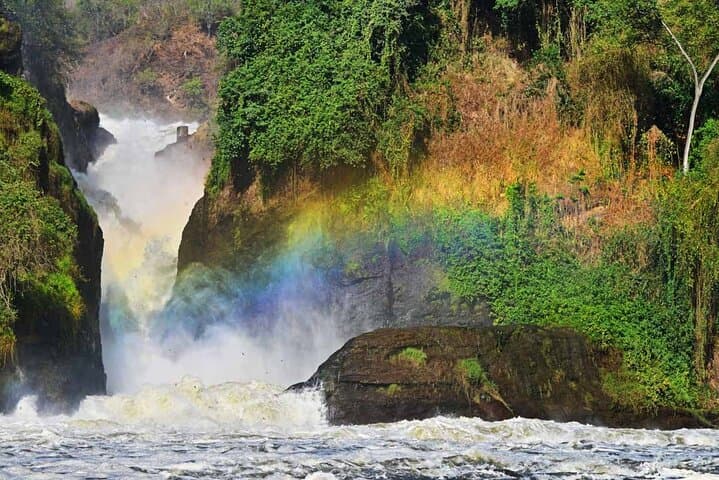 12-Day Super Luxury Gorilla, Chimp & Wildlife Safari from Entebbe photo 2