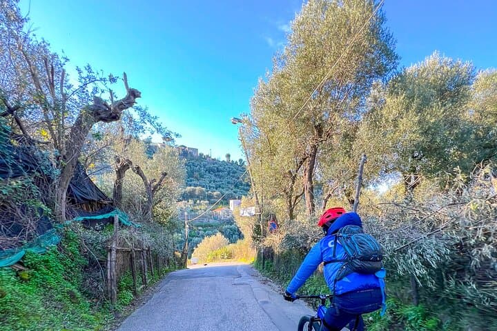 Sorrento Oil and Lemon e-Bike Tour: Olive Mill, Hillside Views & Tastings photo 6