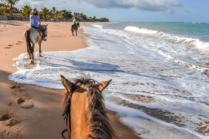 Palomino Horseback Riding Tour — Beach Horseback Rides at Sunrise & Sunset