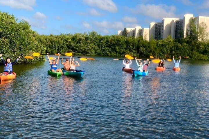 Siesta Key Guided Eco Kayak Tour — Manatees, Mangroves & Hidden Beach
