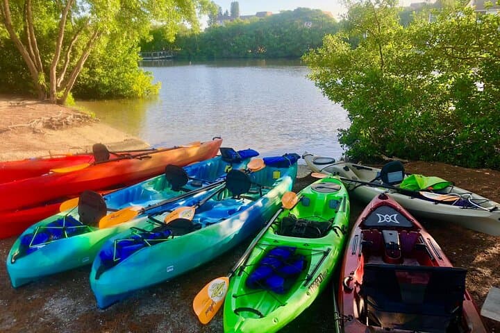 Siesta Key Guided Eco Kayak Tour — Manatees, Mangroves & Hidden Beach photo 3
