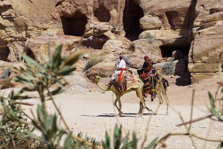 Wadi Rum Camel Safari & Bedouin Overnight — Sunset to Sunrise Desert Experience photo 5