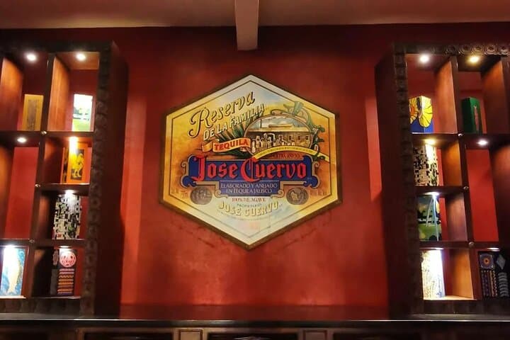 One-Day Tequila Adventure: José Cuervo Distillery, Agave Fields & Extreme Swing photo 3