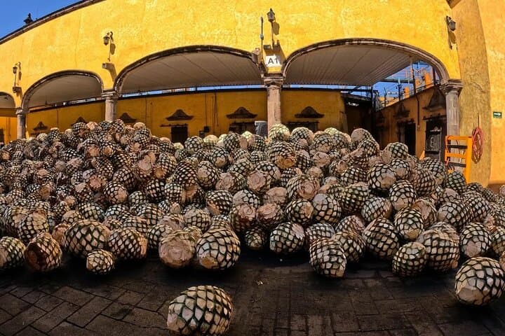 One-Day Tequila Adventure: José Cuervo Distillery, Agave Fields & Extreme Swing photo 4