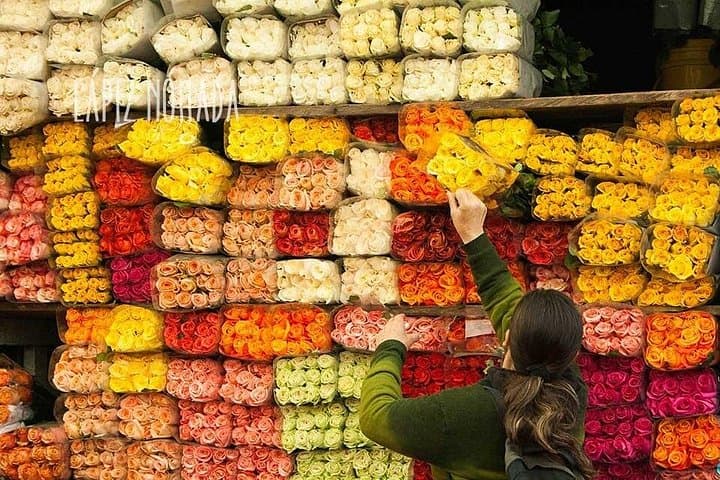 Paloquemao Market Tour — Bogotá’s Fresh Produce & Flower Immersion photo 4