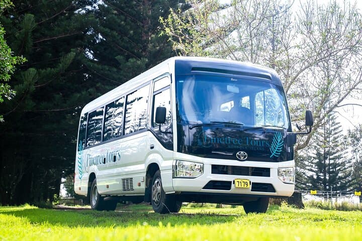 Norfolk Island Welcome: Airport Transfer & Island Orientation Tour photo 1