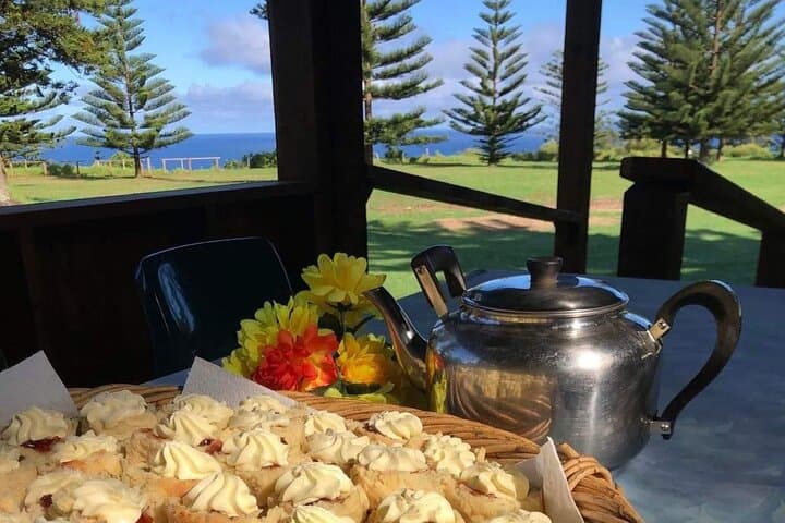 Norfolk Island Welcome: Airport Transfer & Island Orientation Tour photo 3