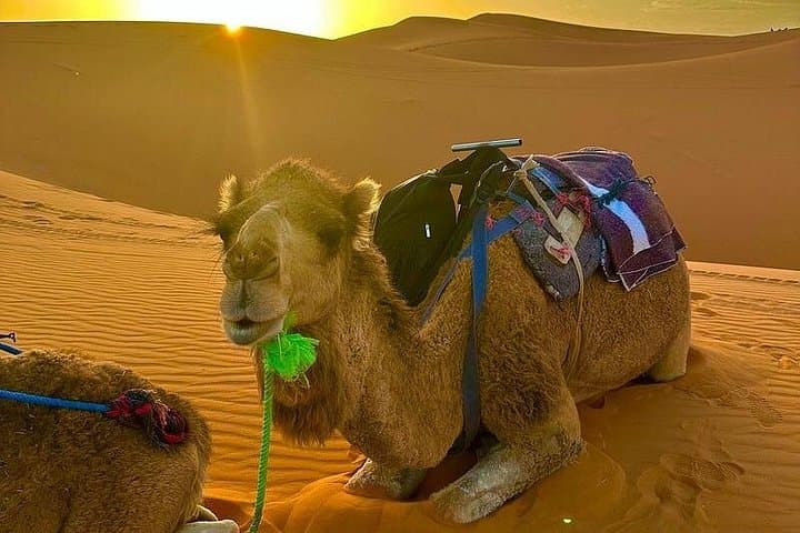 5-Day Morocco Desert Tour from Marrakech to Tangier via Fes & Chefchaouen photo 1