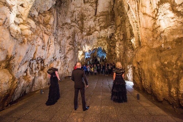 Waitomo Glowworm Caves Private Day Tour from Auckland — Underground Glowworm Grotto & Cave Walk photo 2
