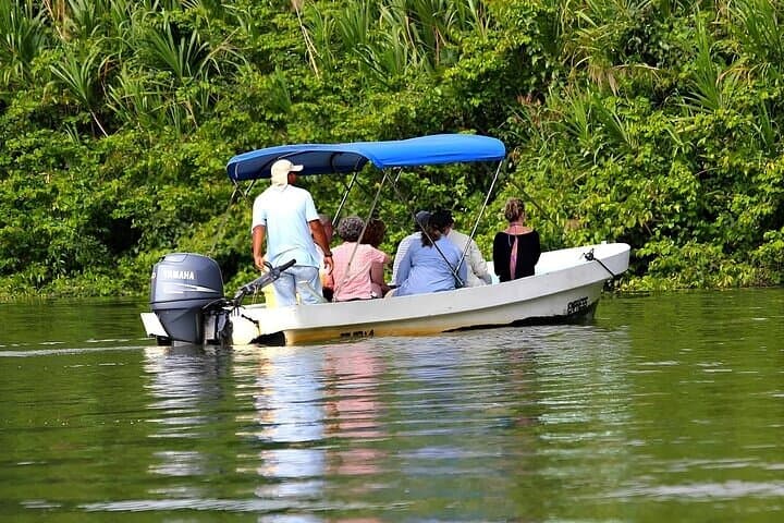 Gatun Lake & Pipeline Road: Guided Jungle Cruise and Soberanía Hike from Panama City photo 6