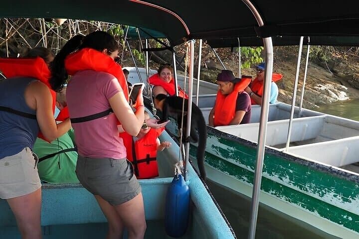 Gatun Lake & Pipeline Road: Guided Jungle Cruise and Soberanía Hike from Panama City photo 4