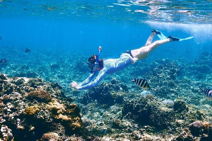 Speedboat to Orange Island and Turkish Bath in Hurghada: Snorkel, Sun and Steam photo 5