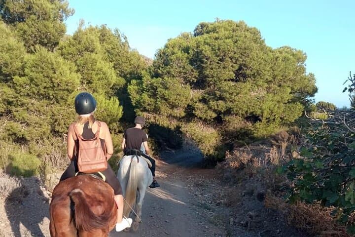 Horseback Riding Calblanque Beach: Ride Along Murcia's Wild Coast photo 3