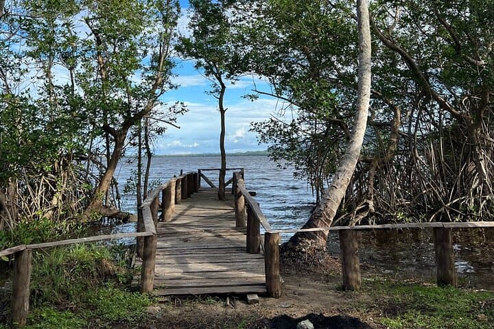 Horseback Riding Playa Esmeralda & Laguna Redonda — Virgin Beach Ride in Miches photo 2