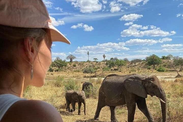 Personalized Tanzania Safari: Tarangire, Serengeti & Ngorongoro (4-Day) photo 3