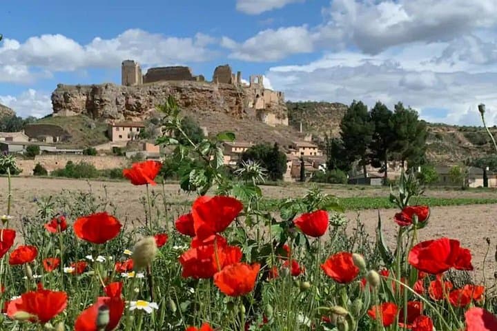 Unspoiled Spain Village Foodie Weekend in Castile-La-Mancha
