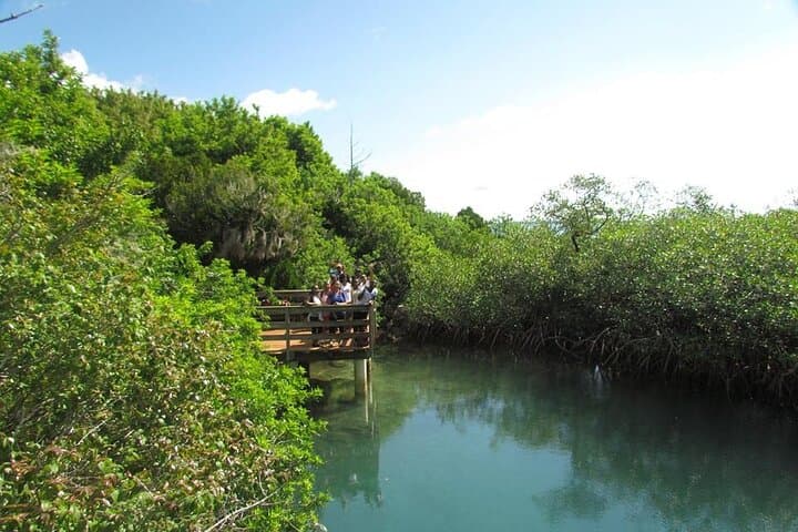 Bermuda Hidden Gems: Half-Day Winter Cave and Southlands Excursion photo 4