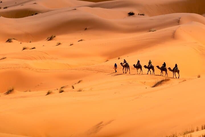 Sunrise Desert Safari Abu Dhabi — Private Camel Ride & Sandboarding Experience photo 2
