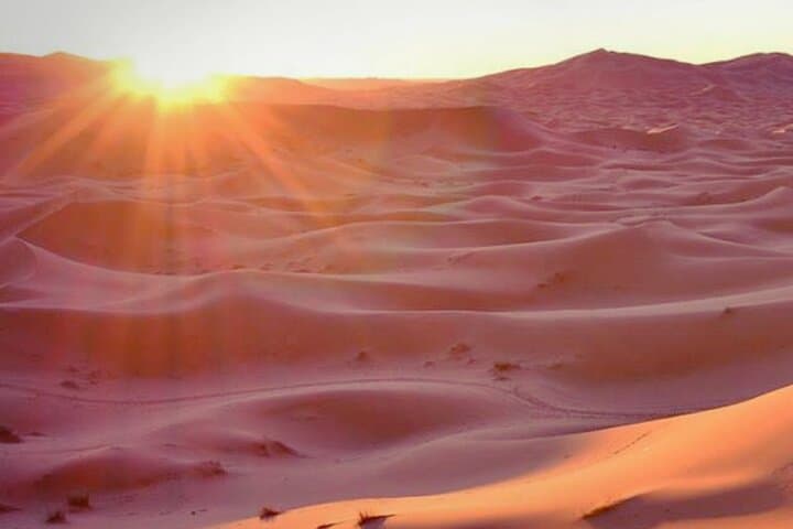 Sunrise Desert Safari Abu Dhabi — Private Camel Ride & Sandboarding Experience photo 3