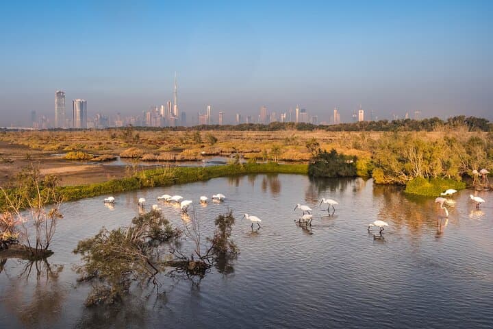 From Creek to Cloud: Dubai City Tour with Burj Khalifa Access photo 2