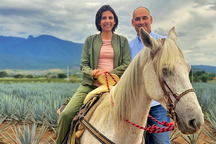 VIP Tequila Tour from Guadalajara — Maestros, Agave Fields & VIP Cava Tastings photo 2