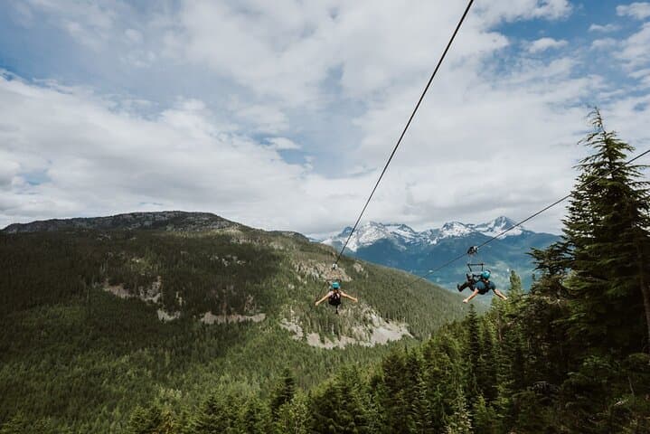 Superfly Ziplines on Cougar Mountain — Whistler’s Four-Line Dual Zip Experience photo 6