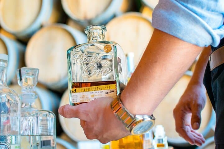 VIP Tequila Tour from Guadalajara — Maestros, Agave Fields & VIP Cava Tastings photo 3