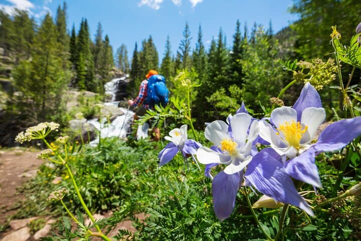 Half-Day Guided Scenic Colorado Mountain Hike in Summit County