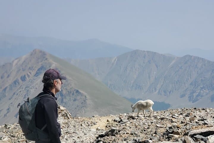 Private Full-Day Guided Hike in Summit County, Colorado photo 3